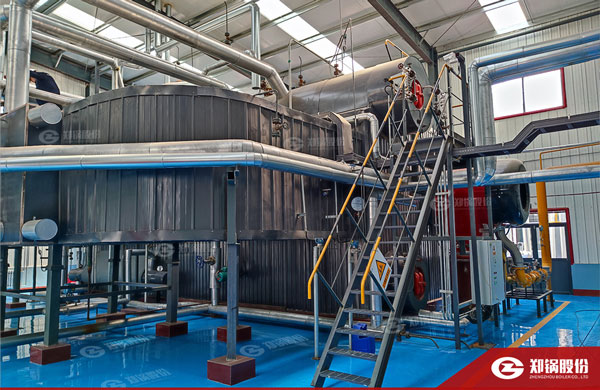 降耗“實(shí)招”！鄭鍋燃?xì)忮仩t助力化工企業(yè)能效提升