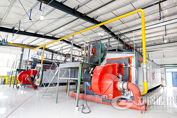 中國(guó)最好的20T燃?xì)庹羝仩t公司