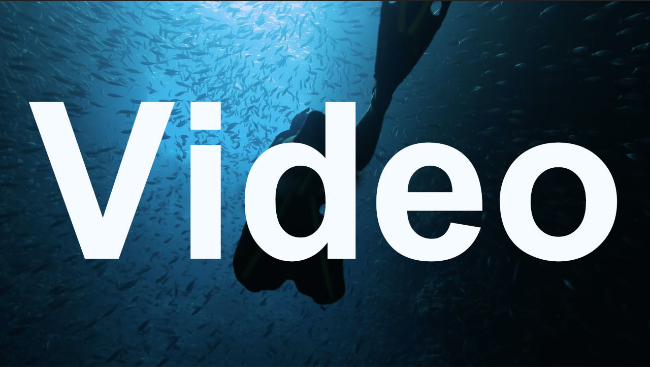 新鍋爐增值服務(wù)