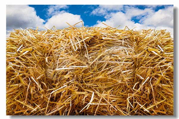 制藥行業(yè)燃?xì)鉄崴仩t價(jià)格