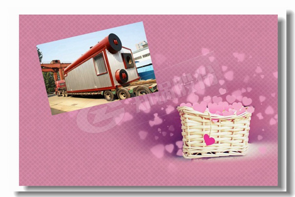 2t容量燃?xì)庹羝仩t