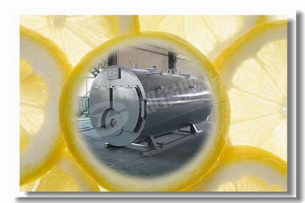 蒸汽鍋爐燒煙煤與無煙煤比較有什么區(qū)別？