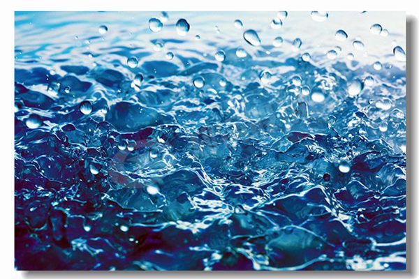 兩噸生物質鍋爐多少錢？